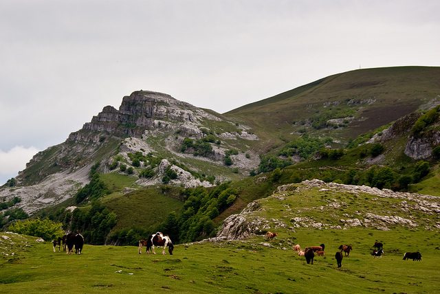 Los mejores planes que hacer en el Gorbea