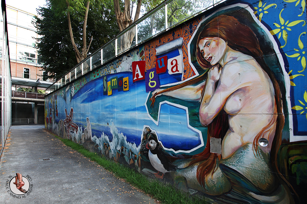 Somos agua / Somos arte - Qué Visitar en el País Vasco