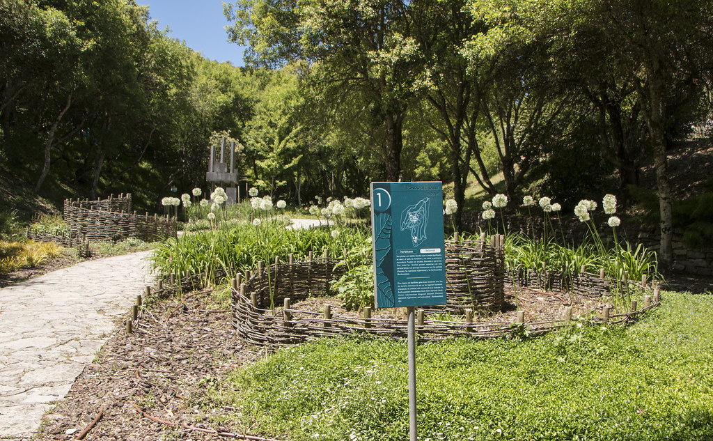 Jardín Botánico de Santa Catalina - Qué visitar en el País Vasco